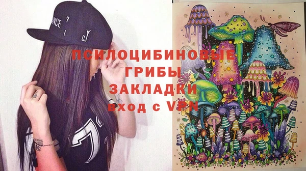 МДПВ Богородицк